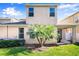 A grassy backyard featuring a small palm tree, trimmed shrubbery, and an outdoor covered patio at 4407 Scarlet Loop, Wesley Chapel, FL 33544