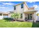 View of the home's backyard with healthy green grass, a small palm tree, and patio area with a grill at 4407 Scarlet Loop, Wesley Chapel, FL 33544