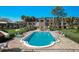Inviting community pool surrounded by comfortable lounge chairs and lush landscaping at 8703 Bardmoor Blvd # 305, Seminole, FL 33777
