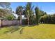 View of the backyard featuring a lush lawn, palm trees, bamboo, and lounge chairs at 1039 Union St, Clearwater, FL 33755