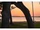 Picturesque sunset framed by tree branches, showcasing the lake and its natural beauty at 1039 Union St, Clearwater, FL 33755