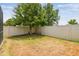Fenced backyard features lush greenery, offering privacy and a secure outdoor space at 1796 Tonka Ter, Wesley Chapel, FL 33543