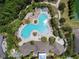 Aerial view of a uniquely shaped community pool with lounge areas, lush landscaping, and inviting walkways at 1796 Tonka Ter, Wesley Chapel, FL 33543