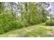 A serene backyard setting with a border of mature trees, offering privacy at 2746 Birchcreek Dr, Wesley Chapel, FL 33544