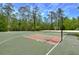 Community basketball court with hoops and a sand volleyball court nearby at 2746 Birchcreek Dr, Wesley Chapel, FL 33544