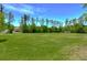 Expansive grassy soccer field with goals, ideal for sports and recreation at 2746 Birchcreek Dr, Wesley Chapel, FL 33544