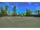 Well-maintained community tennis courts surrounded by lush trees and greenery at 2746 Birchcreek Dr, Wesley Chapel, FL 33544