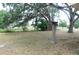 Large backyard featuring trees, a wooden stump, and some fencing at 3940 E Knights Griffin Rd, Plant City, FL 33565