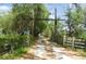 Long driveway bordered by trees and fences, leading to the property at 3940 E Knights Griffin Rd, Plant City, FL 33565