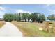A vast lot with tall green trees against a background of blue sky at 3940 E Knights Griffin Rd, Plant City, FL 33565