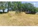An overgrown lot with a tractor and overgrown grass at 3940 E Knights Griffin Rd, Plant City, FL 33565
