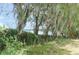 Trees covered in spanish moss overgrow a perimeter fence on an overgrown lot at 3940 E Knights Griffin Rd, Plant City, FL 33565