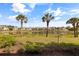 Backyard view overlooking the lake, with beautiful palm trees, and a community setting at 402 Laurel Lake Dr # 104, Venice, FL 34292