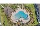 Aerial view featuring a uniquely shaped community pool with ample seating and lush tropical landscaping at 5005 Blue Latan Ln, Tampa, FL 33610