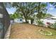 Fenced backyard with mature trees, shed, and landscaped perimeter creating a private outdoor sanctuary at 504 E Lee St, Plant City, FL 33563