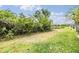 Picturesque backyard with lush green grass, mature trees, and serene pond view at 5205 Lansdowne Way, Palmetto, FL 34221