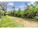 Spacious backyard featuring a lush, green lawn and perimeter of dense shrubs and foliage, creating a private outdoor space at 5205 Lansdowne Way, Palmetto, FL 34221