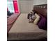 Cozy bedroom featuring a neatly made bed with colorful decorative pillows and a wooden headboard at 5391 Baldock Ave, Spring Hill, FL 34608