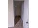 Walk-in closet with carpet and wire shelving at 621 Washita Stone Dr, Ruskin, FL 33570