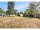 Spacious backyard with a large shade tree, privacy fence, and shed at 6811 N Himes Ave, Tampa, FL 33614