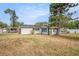 Spacious backyard featuring a carport, lots of green space, and mature trees at 6811 N Himes Ave, Tampa, FL 33614