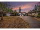 Charming single-story home featuring a well-maintained lawn, covered parking, and freshly painted exterior at dusk at 6811 N Himes Ave, Tampa, FL 33614