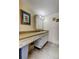 Bathroom vanity area featuring storage and a well-lit mirror at 7425 Bay Island S Dr # 203, South Pasadena, FL 33707