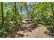 Trail leading to a quaint cabin in wooded area at 11120 Lu Wista Ln, Brooksville, FL 34601