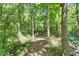 Shaded wooden trail with bench at 11120 Lu Wista Ln, Brooksville, FL 34601
