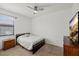 Bright bedroom featuring a ceiling fan, neutral walls, plush carpeting, and a dark colored bed frame at 11831 Thicket Wood Dr, Riverview, FL 33579