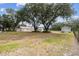 Exterior showing the three separate outbuildings, surrounded by mature trees and lush landscaping at 1202 Williams Rd, Plant City, FL 33565