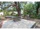 Backyard featuring large trees and a picnic table at 1310 Hilton Pl, Tampa, FL 33604
