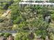 An aerial view showcases the property's mature trees and private pond at 13703 Sweetwater Cove Pl, Tampa, FL 33613