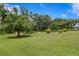 Picturesque backyard with a winding brick path, mature trees, and well-manicured lawn creating a peaceful oasis at 19815 Sea Rider Way, Lutz, FL 33559
