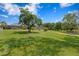 Lush backyard featuring a mature tree, a winding brick path, a screened enclosure, and manicured landscaping at 19815 Sea Rider Way, Lutz, FL 33559