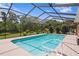 Relaxing screened-in pool area features a lovely manicured yard and an animal statue at 19815 Sea Rider Way, Lutz, FL 33559