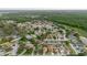 Aerial view of a residential neighborhood with lush trees, houses, and a pond at 24839 Wild Frontier Dr, Land O Lakes, FL 34639