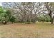 Expansive front yard featuring mature trees draped with Spanish moss, creating a picturesque and shaded landscape at 4323 Culbreath Rd # B, Valrico, FL 33596
