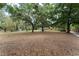 Large front yard providing ample space and showcasing mature trees, offering privacy and a natural setting at 4323 Culbreath Rd # B, Valrico, FL 33596