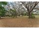 Lush front yard with mature trees and natural surroundings, creating a serene and inviting outdoor space at 4323 Culbreath Rd # B, Valrico, FL 33596