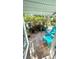 Charming covered patio featuring comfortable seating and a variety of vibrant potted plants at 4570 Overlook Ne Dr # 180, St Petersburg, FL 33703