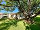 Lush backyard with a mature shade tree and well-maintained lawn at 4740 Carrington Ct # 4740, New Port Richey, FL 34655