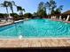 Sparkling community pool with crystal clear water, surrounded by lounge chairs at 4740 Carrington Ct # 4740, New Port Richey, FL 34655
