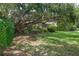 Backyard featuring mature shade trees, lush landscaping, and outdoor seating area at 805 Bannockburn Ave, Temple Terrace, FL 33617