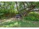 Backyard featuring lush landscaping, mature trees, and outdoor seating area at 805 Bannockburn Ave, Temple Terrace, FL 33617