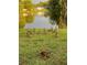 Backyard of a house with a large group of ducks in the grass by a lake at 12303 Fieldstone Ln, Hudson, FL 34667