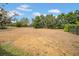Wide shot of backyard featuring green trees and ample space at 15810 Starling Water Dr, Lithia, FL 33547