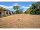 Wide shot of backyard featuring green trees and ample space at 15810 Starling Water Dr, Lithia, FL 33547