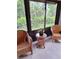 Relaxing patio area showcasing lovely plants, wicker furniture, and scenic greenery views at 2910 Star Apple Ct, Palm Harbor, FL 34684