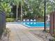 Community pool area with inviting blue water, comfortable lounge chairs, and lush landscaping at 2910 Star Apple Ct, Palm Harbor, FL 34684